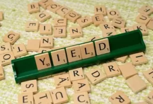 como viver de dividendos