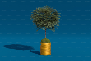 FIIs mais rentáveis de 2025