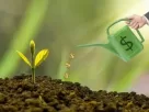 como montar uma carteira de FIIs