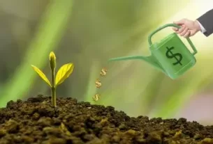 como montar uma carteira de FIIs